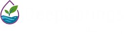deepsprings_white_logo